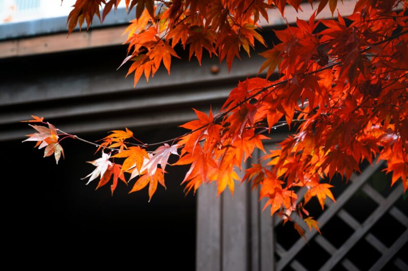 10月の時候の挨拶